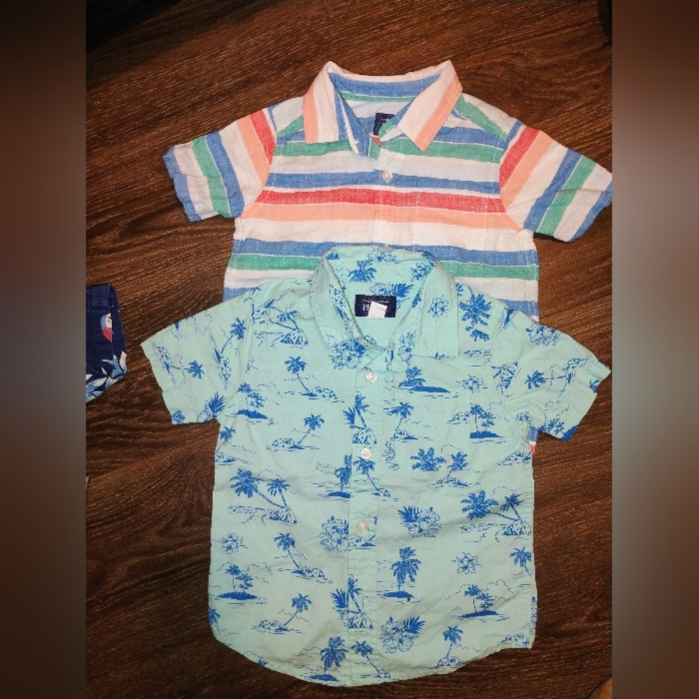 The Children's Place Multicolor and Blue Button Down Shirts